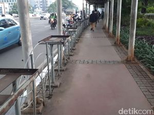 Penataan Jalan Sudirman, Sandiaga: Sebagian Pohon Dipindah-Ditebang Penataan Jalan Sudirman, Sandiaga: Sebagian Pohon Dipindah-Ditebang