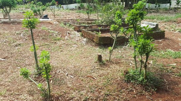 Ini Makam Keramat yang Bikin Warga Tolak Tol Serpong-Balaraja