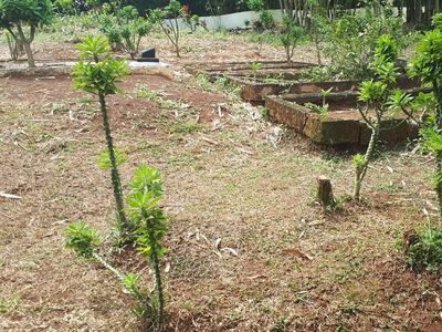 Ini Makam Keramat yang Bikin Warga Tolak Tol Serpong-Balaraja