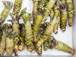 Mengenal Beragam Manfaat Brotowali untuk Kesehatan