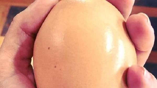 Foto: Bikin Bingung Pakar! Ada Telur Berisi Telur di Australia