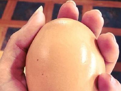 Foto: Bikin Bingung Pakar! Ada Telur Berisi Telur di Australia