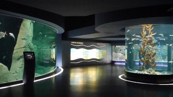 Foto: Seperti Ini Akuarium Tematik Terbesar di Dunia