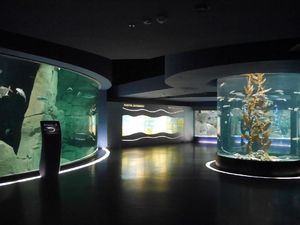 Ini Dia Akuarium Tematik Terbesar di Dunia