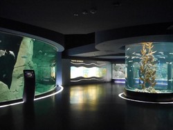 Ini Dia Akuarium Tematik Terbesar di Dunia