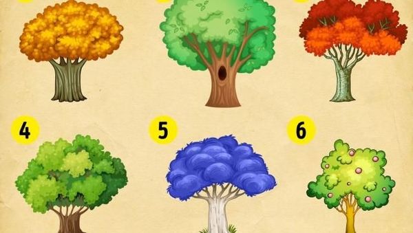 Tes Gambar Pohon yang Akan Ungkap Karakter Terpendammu