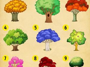 Tes Gambar Pohon yang Akan Ungkap Karakter Terpendammu