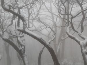 Musim Salju di China, Mirip Negeri Dongeng