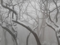 Musim Salju di China, Mirip Negeri Dongeng