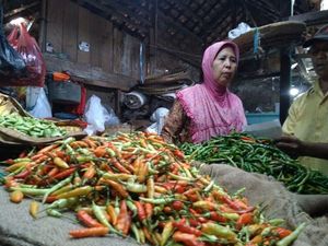 Kementan Jamin Harga Cabai & Bawang Stabil
