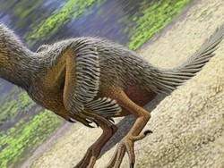 Ilmuwan Temukan Fosil Burung Terkecil yang Hidup 127 Juta Tahun Lalu