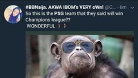 Jadi, siapa yang bilang kalau PSG bisa juara Liga Champions musim ini? Hayo ngaku. (Foto: Twitter @C...)