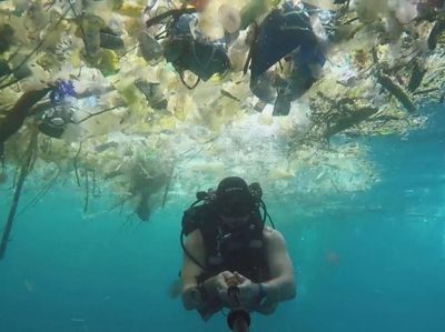 Foto: Sampah di Laut Bali yang Jadi Pemberitaan Dunia