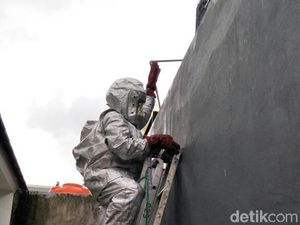 Pakai Baju Anti-api, Damkar Makassar Evakuasi Sarang Tawon