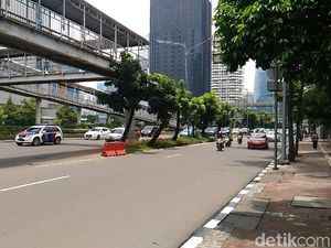 Pegawai Kantoran Sayangkan Pemindahan Pohon di Sudirman-Thamrin Pegawai Kantoran Sayangkan Pemindahan Pohon di Sudirman-Thamrin