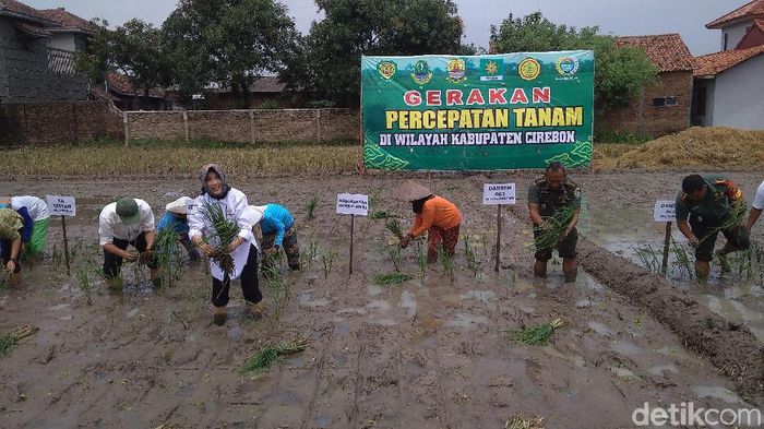 Foto: Sudirman Wamad/detikcom