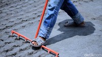 Pekerja tengah membuat lubang tempat bibit rumput akan ditanam.