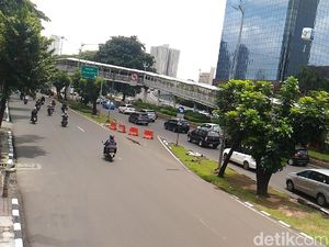 541 Pohon Dipindah, Sandiaga Pastikan Sudirman-Thamrin Hijau Kembali 541 Pohon Dipindah, Sandiaga Pastikan Sudirman-Thamrin Hijau Kembali