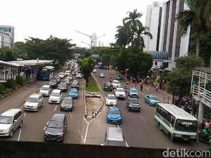Pohon-pohon di Sudirman-Thamrin yang Terancam Tinggal Kenangan Pohon-pohon di Sudirman-Thamrin yang Terancam Tinggal Kenangan