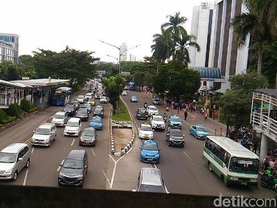 Pohon-pohon di Sudirman-Thamrin yang Terancam Tinggal Kenangan