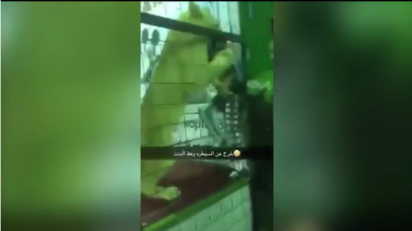 Momen Mencekam Singa Terjang Bocah di Arab Saudi