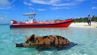 Foto: 7 Pantai Tidak Biasa di Dunia