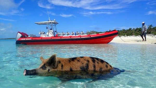 Foto: 7 Pantai Tidak Biasa di Dunia