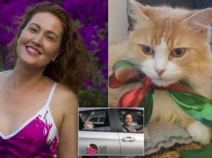 Kisah Wanita yang Sukses Bisnis Sewakan Kucing Peliharaan Demi Biaya Hidup