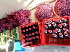 Buah Parijoto di Bukit Muria Kudus Disulap jadi Sirup hingga Keripik Buah Parijoto di Bukit Muria Kudus Disulap jadi Sirup hingga Keripik