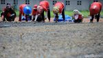 Rumput Mulai Ditanam di Stadion Si Jalak Harupat