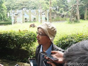 Pengelola Kaji Larangan Merokok di Area Kebun Binatang Pengelola Kaji Larangan Merokok di Area Kebun Binatang