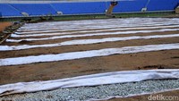Meski proses renovasi stadion yang kerap digunakan sebagai markas Persib Bandung itu dilakukan pada saat musim hujan, INASGOC terus mengebut proses renovasi.