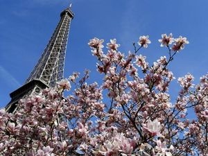 Catat! Ini 5 Destinasi Terbaik Dunia untuk Dikunjungi di Bulan April