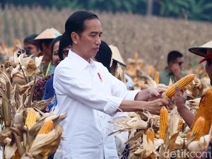 Keliling Serang, Jokowi Kunjungi Ponpes dan Bagi Kartu Sakti Keliling Serang, Jokowi Kunjungi Ponpes dan Bagi Kartu Sakti