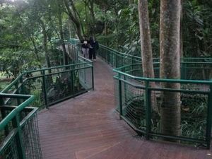 Serunya Forest Walk di Babakan Siliwangi Bandung Serunya Forest Walk di Babakan Siliwangi Bandung