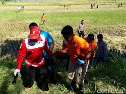 Mayatnya Ditemukan di Sawah, Sutarmi Diduga Dibunuh Anaknya Sendiri