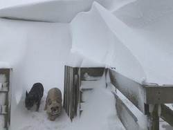 Cuaca Super Dingin Eropa, Warga Bakar Perabotan untuk Hangatkan Badan