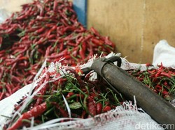 Ini Penyebab Harga Cabai Rawit di Garut Naik Jadi Rp 60 Ribu