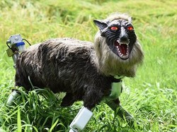 Jepang Pakai Serigala Super Monster untuk Jaga Sawah