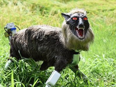 Ini Penampakan Seram Serigala Monster yang Jaga Sawah di Jepang