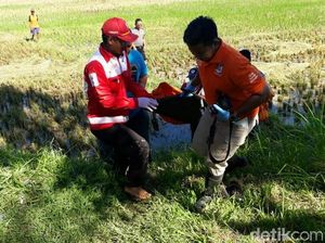Pelaku Pembunuh Ibu Kandung di Kebumen Dibekuk Polisi