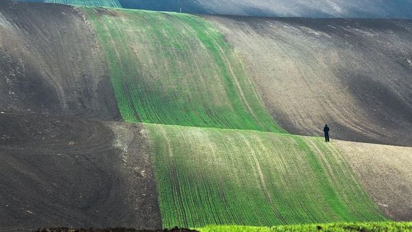 Tak Boleh Sombong, Potret Betapa Kecil Manusia Dibanding Alam