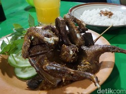 Bagaimana Ya Rasa Burung Dara Goreng yang Dipadu dengan Sambal Ulek?
