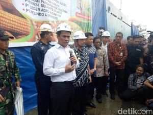 Genjot Produksi Rempah dan Perkebunan, Pemerintah Siapkan Rp 2,7 T