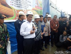 Genjot Produksi Rempah dan Perkebunan, Pemerintah Siapkan Rp 2,7 T