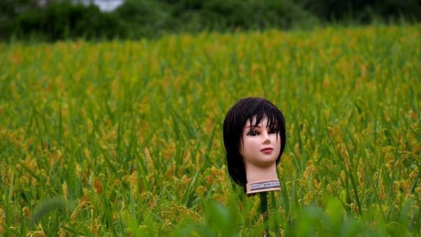 Foto: Lihat Lagi Manekin Penjaga Sawah di Jepang