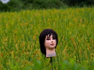 Foto: Lihat Lagi Manekin Penjaga Sawah di Jepang