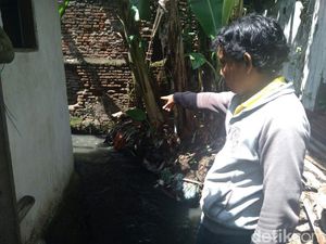 2 Minggu Memburu Sanca Jumbo yang Hilang di Tengah Nego Uang Lelah 2 Minggu Memburu Sanca Jumbo yang Hilang di Tengah Nego Uang Lelah