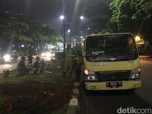 Pohon di Sudirman-Thamrin Mulai Dipindah Sejak Minggu Lalu