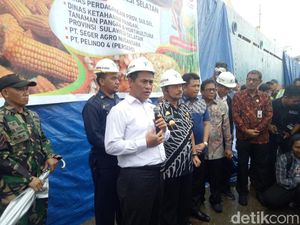 RI Ekspor 60.000 Ton Jagung ke Filipina